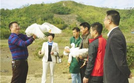 陆河岳溪村：小小鸭蛋黄让贫困户富得“流油”(贫困户工作队扶贫小鸭陆河)