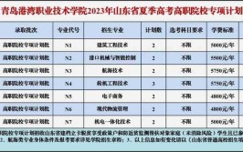 青岛港湾职业技术学院2023年高职单独考试招生和综合评价招生章程