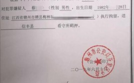 赣州这505个人的C证要回炉了赶紧去做这事否则可能被拘留