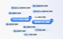 智慧城市管理技术专业就业方向与就业岗位有哪些