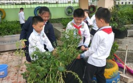 双流实验小学东区植物养护课程一