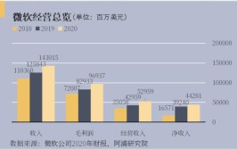 学会一年拉开三十亿差距(微软收益加成经验提升)