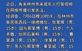 河南公安通报严打赌博十大案例  有赌场竟设在废弃猪圈(赌博赌场人员公安局等人)