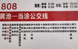 当阳城区公交及客运班线部分恢复运营(往返公交人民检察院之家开通)