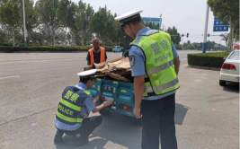 文明守法 平安回家｜阿克苏交警张贴反光贴 筑起夜间安全防线(反光交警张贴夜间防线)