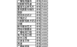 武汉传媒学院艺术类学费多少钱一年