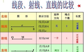 线段必须是直线吗