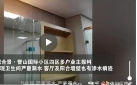 广州一新盘交楼就漏成“水帘洞”？开发商：百人抢修队出动(业主开发商记者渗水抢修)