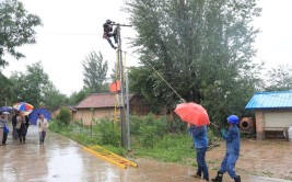 藤县电力工人紧急抢修线路保供电(抢修暴雨供电致敬线路)