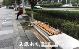 市民呼吁相关部门进行维护(座椅天眼休闲木料大道)