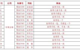 三亚公布2023年度汽车租赁红榜企业及平台名单(红榜汽车租赁有限公司平台汽车租赁)