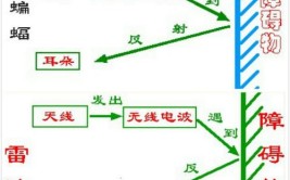 蝙蝠探路的原理还可以用在生活中的什么地方