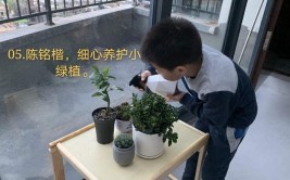 家庭绿植打理难养护能手来帮忙