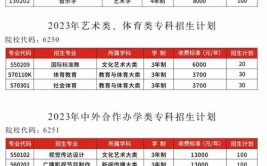 2024郑州软件职业技术学院艺术类学费多少钱一年