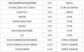 广州民航职业技术学院中外合作办学学费多少钱一年