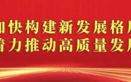 牢记嘱托感恩奋进 奋力开创高质量发展新局面丨填补省内空白！大庆林甸药用玻璃管（瓶）智能工厂即将投产↘(大庆林甸玻璃管投产嘱托)