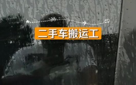 二手车搬运工(二手车搬运工游乐场上牌这款)