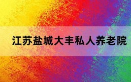 盐城大丰：数字赋能 绘就民生幸福底色(大丰养老服务智慧农贸市场)