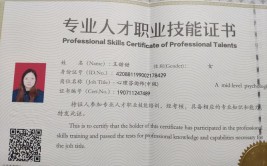 最容易考到的5个专业的咨询师