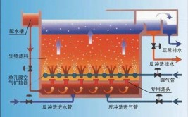 自来水厂滤池滤料的日常管理