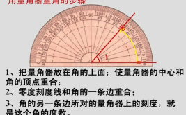 量角器量角要认清什么的刻度