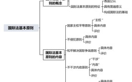 国际经济法的基本原则是什么