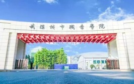 武汉大学珞珈学院是公办还是民办