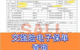 交强险投保公司查询(车辆保费查询记录保险公司)