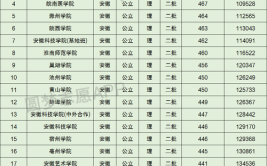 2024年安徽低分捡漏的公办二本院校有哪些