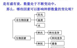 影响种群数量变化的因素是什么