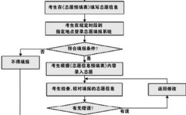 成考在哪里填报志愿