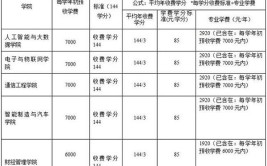 重庆电子工程职业学院中外合作办学学费多少钱一年