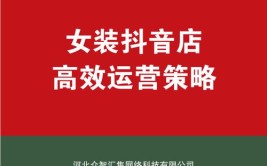 家装建材行业的抖音营销密码：高效广告投放与运营策略(广告投放策略家装内容)