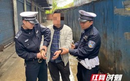 警方顺藤摸瓜很快抓获肇事司机(肇事司机交警南国早报现场)