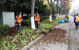 兰州市城关区住建局秋浓绿意满 养护正当时