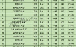 云南985和211大学有哪些