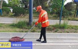 潍坊潍城：规范维修行业 共建绿色城市(维修整治业户提升大众网)