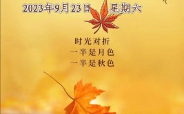 秋分是几月几日