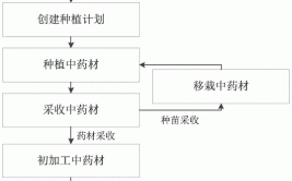 职场 中药材种植技术员的工作流程