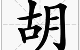 胡字里面找出多少汉字