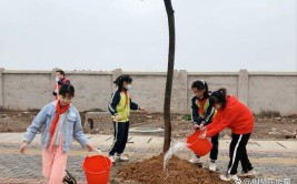 武穴市实验小学钱炉校区开展添绿行动和植物养护实践活动