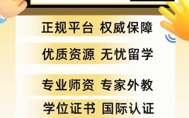 集美大学国际本科4+0怎么报名