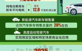 比亚迪海豚,新能源时代的先锋，绿色出行的引领者