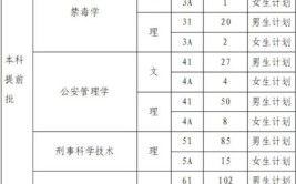 新高考治安学专业选科要求