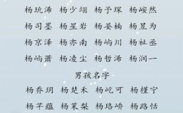 个性张扬，独具魅力_探秘大众最个性名字的车型