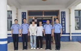 西平警方迅速破获系列盗窃车内财物案(西平车内财物盗窃破获)