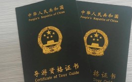 导游证可以用学生证报名吗