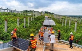 点亮绿色未来！苏州这个“零碳村”在常熟建成(乡村点亮光伏建成能源)