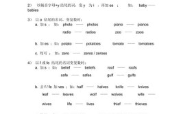 录像的英文是什么复数