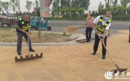 海阳公路：整治打场晒粮保障公路安全(打场公路群众保障沿线)